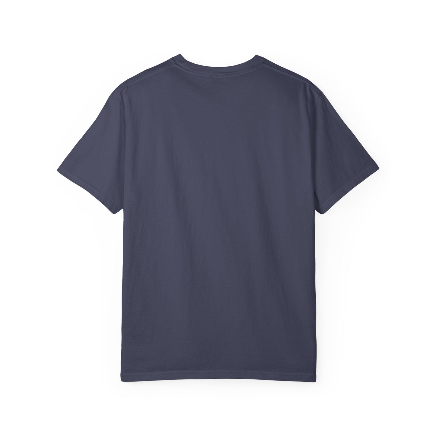 Carousel of Progress Vintage Graphic T-Shirt