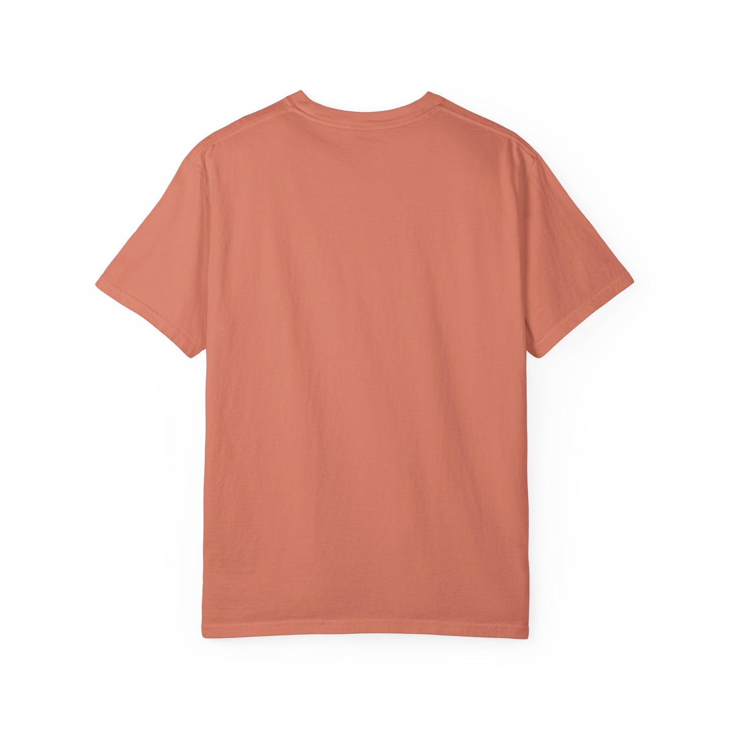 Main Street Ducks Co. T-Shirt — "Here for the Snacks" Vintage Duck Tee