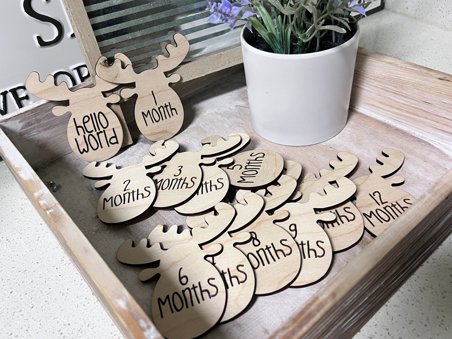 Moose Head Baby Milestones Photo Props