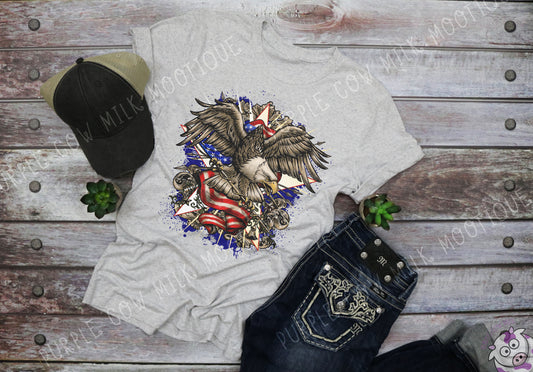 Flying Free Eagle