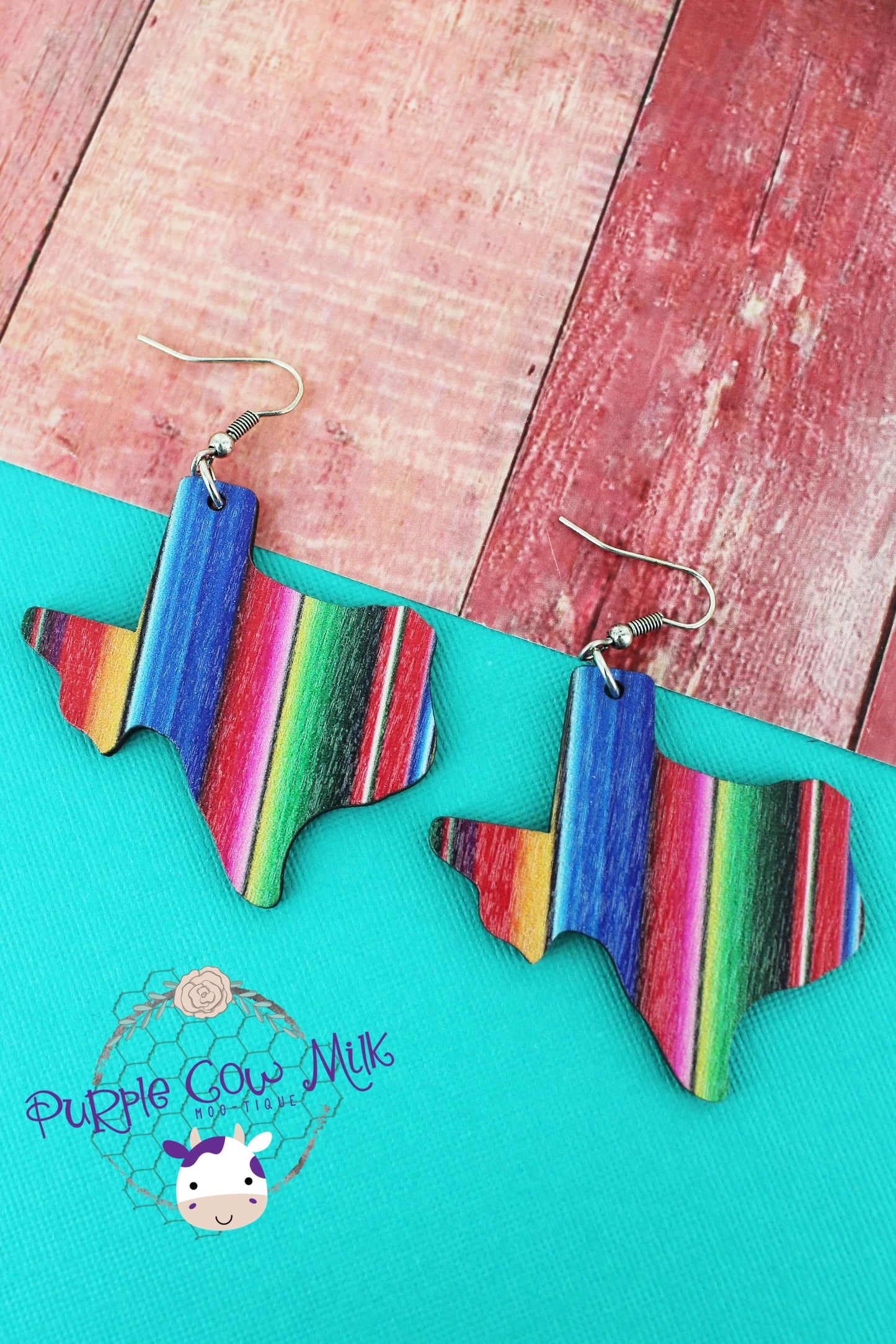 Serape Texas Earrings